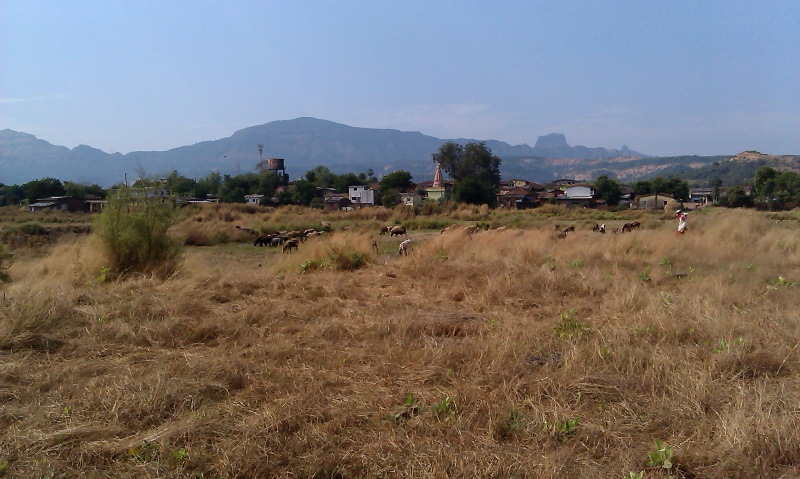  34500 Sq.ft. Residential Plot for Sale in Karjat, Raigad