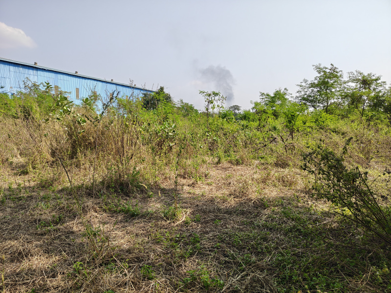  10033 Sq.ft. Industrial Land for Sale in Murbad MIDC, Thane