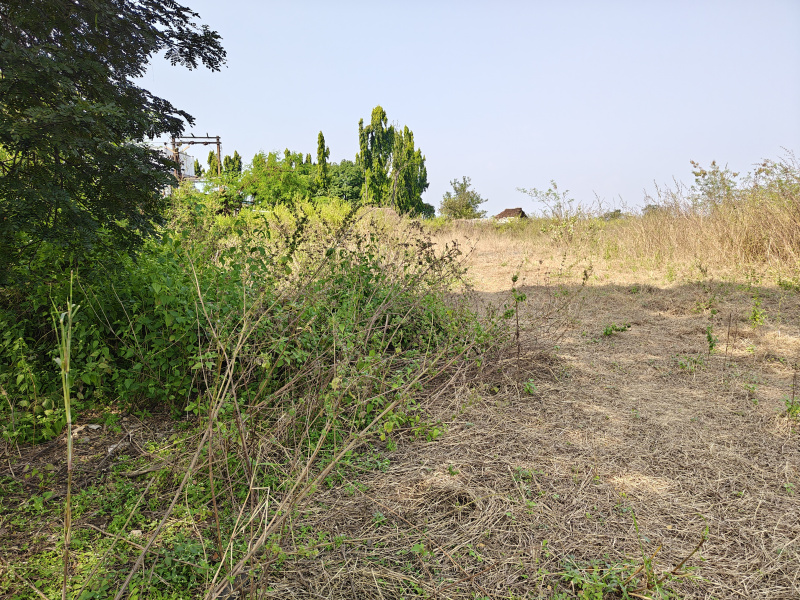  10033 Sq.ft. Industrial Land for Sale in Murbad MIDC, Thane