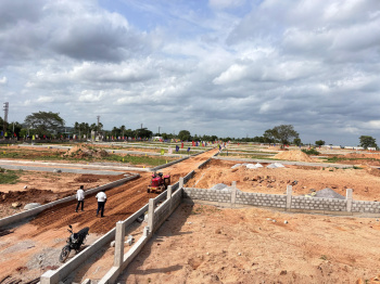  Residential Plot for Sale in Amangal, Hyderabad