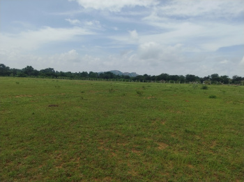  Agricultural Land for Sale in Ibrahimpatnam, Hyderabad