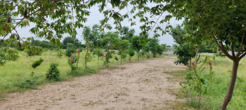 Residential Plot for Sale in Bibi Nagar, Hyderabad