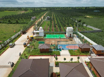 Agricultural Land for Sale in Amangal, Hyderabad
