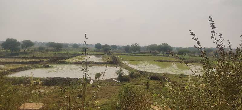 Agricultural Land 155 Acre for Sale in Nawagarh, Bemetara