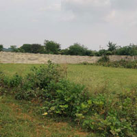 Commercial Land for Sale in Dumartara, Raipur