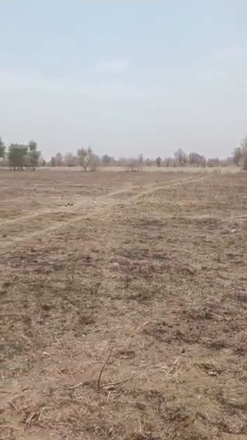Farm Land for Sale in Damoh Naka, Jabalpur (REI1087468)