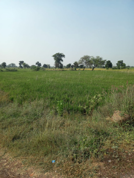  Agricultural Land for Sale in Naya Raipur, Raipur