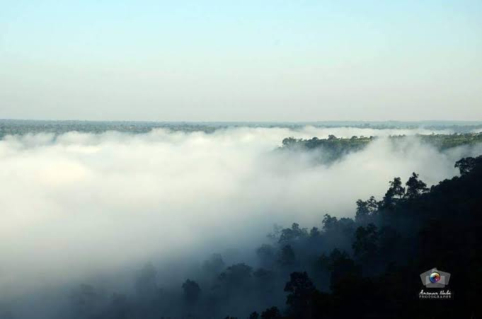  Agricultural Land 104 Acre for Sale in Keshkal, Bastar
