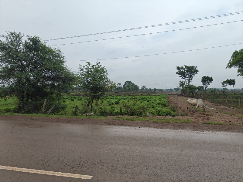  Industrial Land 6 Acre for Sale in Tilda, Raipur