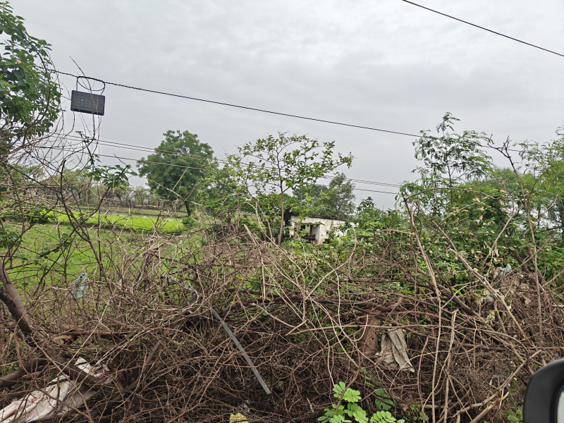  Industrial Land 6 Acre for Sale in Tilda, Raipur