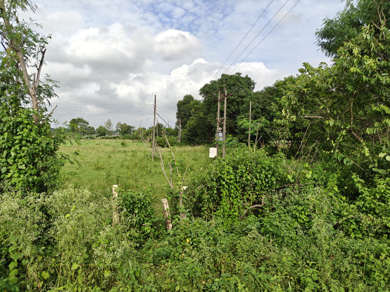  Residential Plot 4 Acre for Sale in Jagdalpur, Bastar