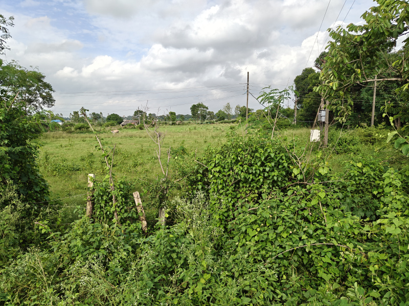  Residential Plot 4 Acre for Sale in Jagdalpur, Bastar