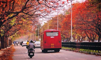  Commercial Land for Sale in Civil Lines, Raipur