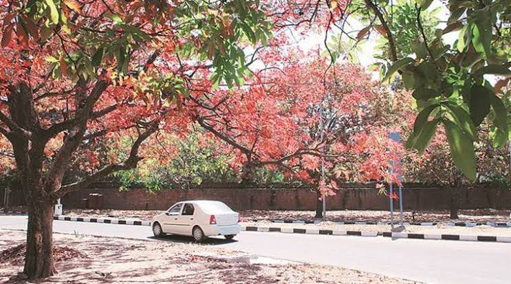  Commercial Land 3825 Sq.ft. for Sale in Civil Lines, Raipur
