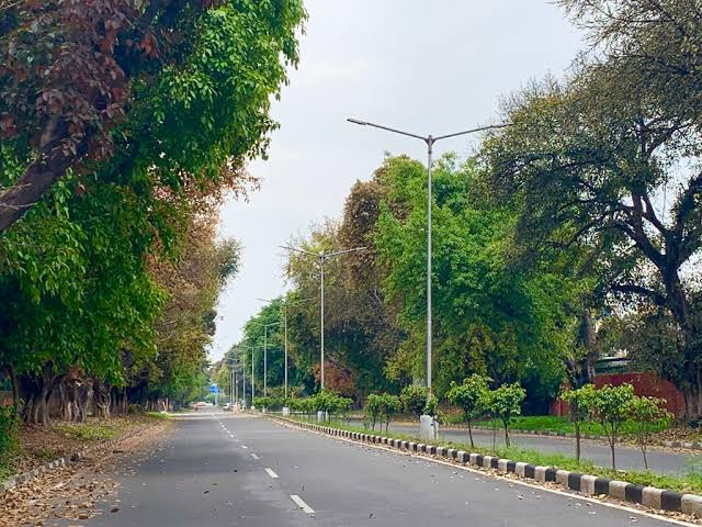  Commercial Land 3825 Sq.ft. for Sale in Civil Lines, Raipur