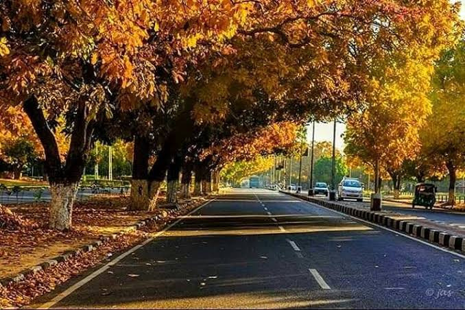  Commercial Land 8586 Sq.ft. for Sale in Civil Lines, Raipur