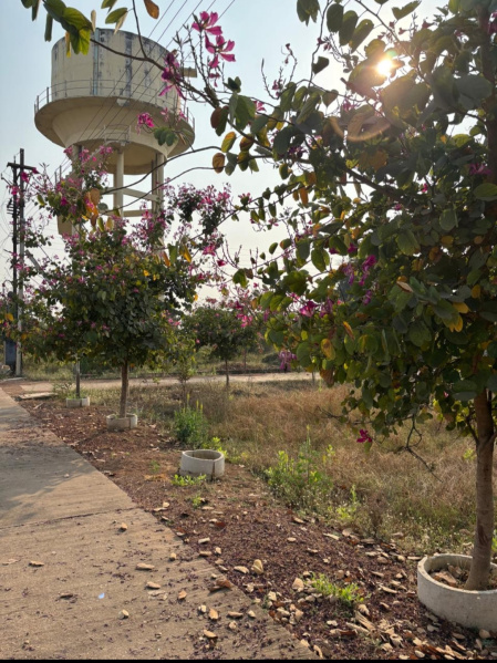  Residential Plot 4000 Sq.ft. for Sale in Old Dhamtari Road, Raipur