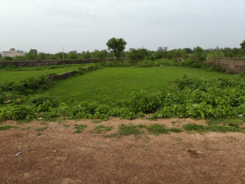  Residential Plot 10000 Sq.ft. for Sale in Amlidih, Raipur