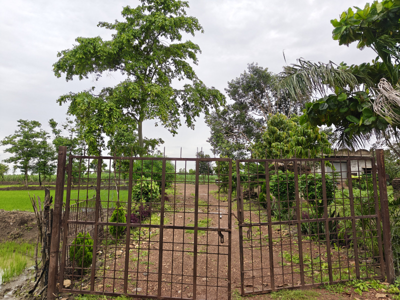  Agricultural Land 30 Acre for Sale in Nawagarh, Bemetara