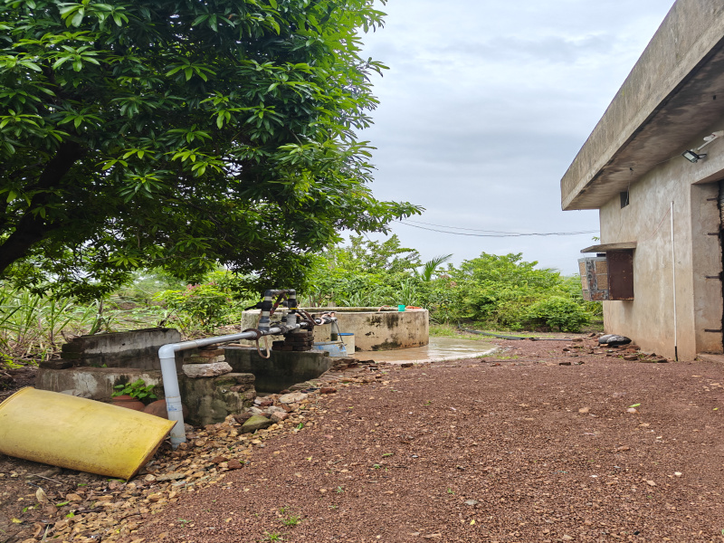  Agricultural Land 30 Acre for Sale in Nawagarh, Bemetara