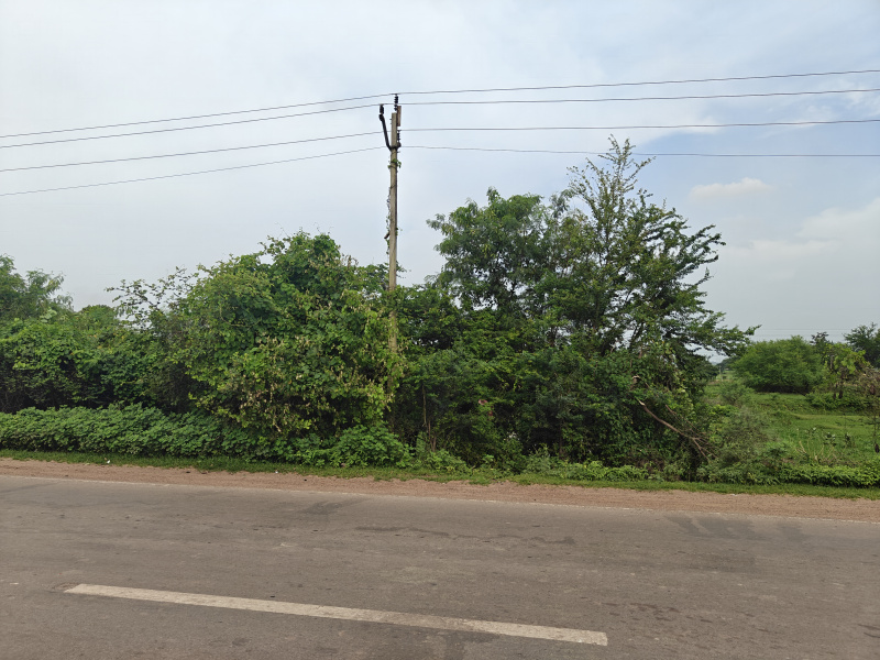  Commercial Land 3 Acre for Sale in Nawapara Rajim, Raipur