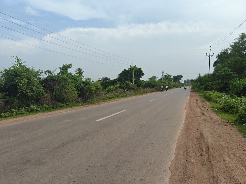  Commercial Land 3 Acre for Sale in Nawapara Rajim, Raipur