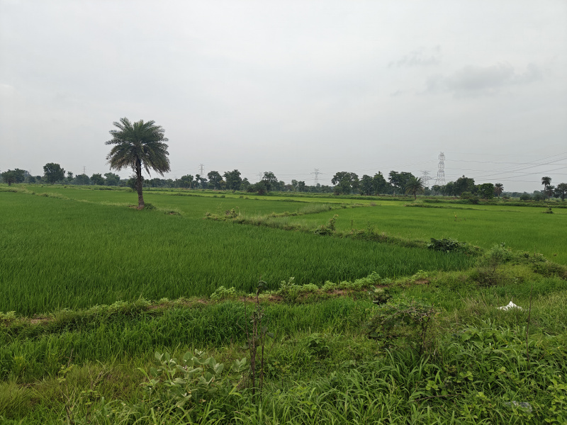  Commercial Land 5 Acre for Sale in Nawapara Rajim, Raipur