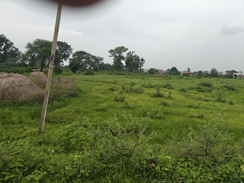  9 Acre Residential Plot for Sale in Nawapara Rajim, Raipur