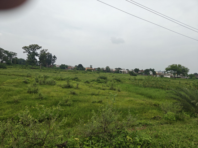  9 Acre Residential Plot for Sale in Nawapara Rajim, Raipur