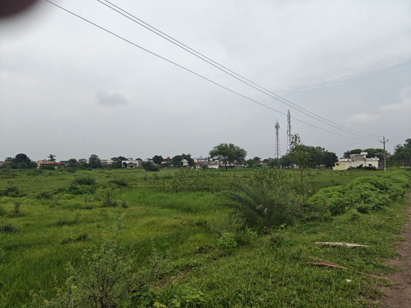  9 Acre Residential Plot for Sale in Nawapara Rajim, Raipur