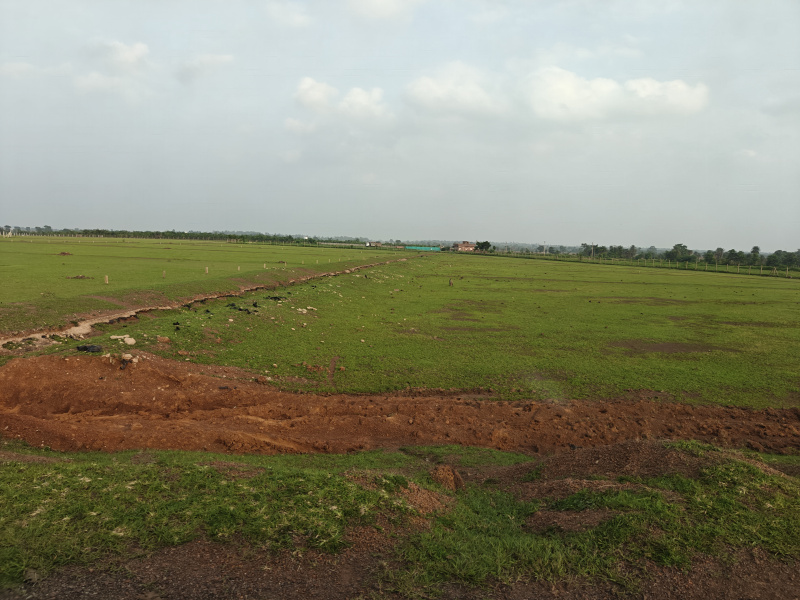  Commercial Land 20000 Sq.ft. for Sale in Kamal Vihar, Raipur