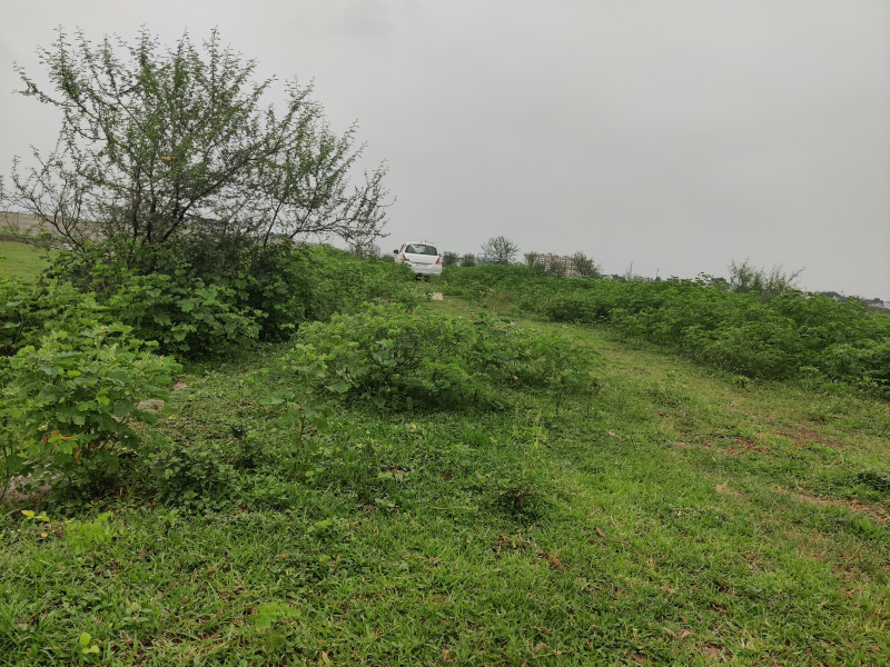  Commercial Land 20000 Sq.ft. for Sale in Boriyakhurd, Raipur