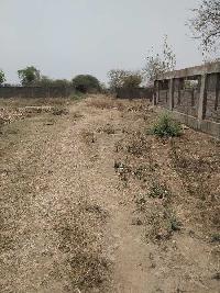  Residential Plot for Sale in Dharsiwa, Raipur