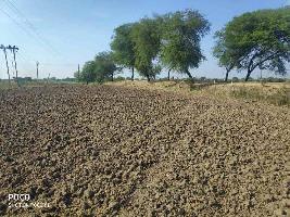  Agricultural Land for Sale in Jhiriya, Bemetara