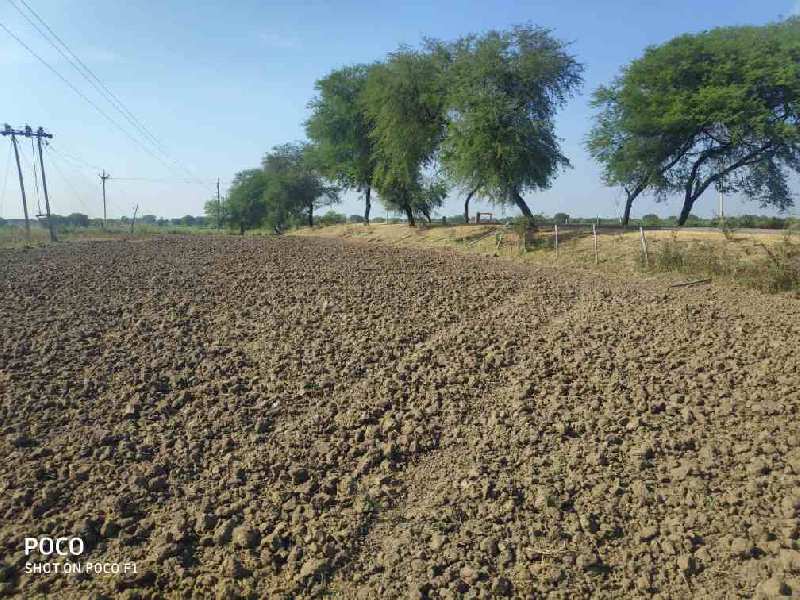 Agricultural Land 50 Acre for Sale in Jhiriya, Bemetara
