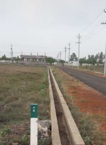  Residential Plot 274 Sq. Yards for Sale in Jagannaickpur, Kakinada