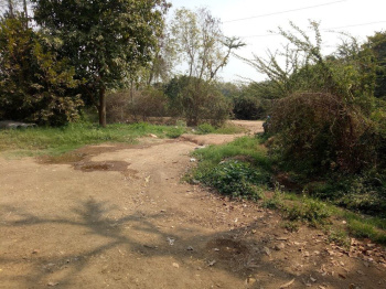  Agricultural Land for Sale in Petlad, Anand
