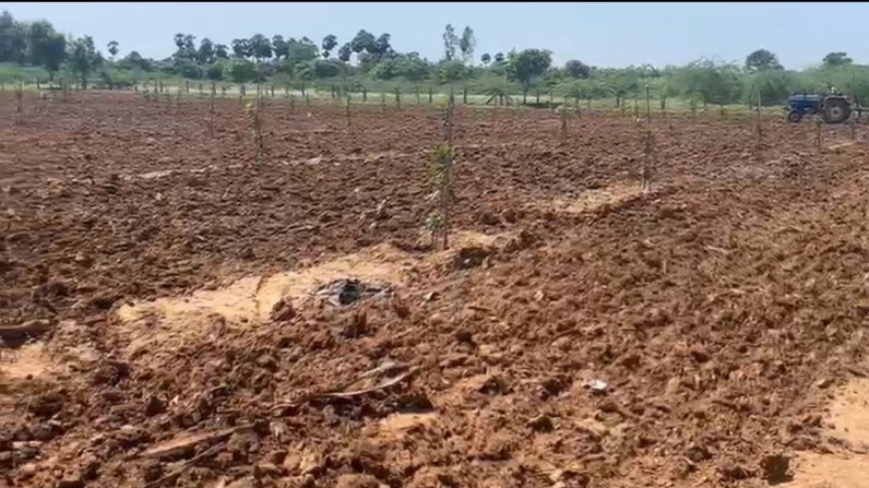 Agricultural Land 6 Acre for Sale in Ulavapadu, Prakasam