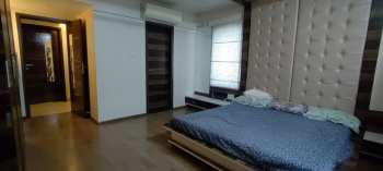  Penthouse for Rent in Pimple Nilakh, Pune