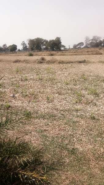 Agricultural Land 2 Acre for Sale in Bhilai, Raipur