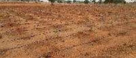  Agricultural Land for Sale in Veppur, Hosur