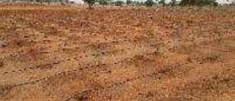  Agricultural Land for Sale in Veppur, Hosur