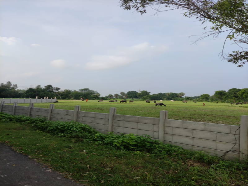  Residential Plot 600 Sq.ft. for Sale in Sohramau, Unnao