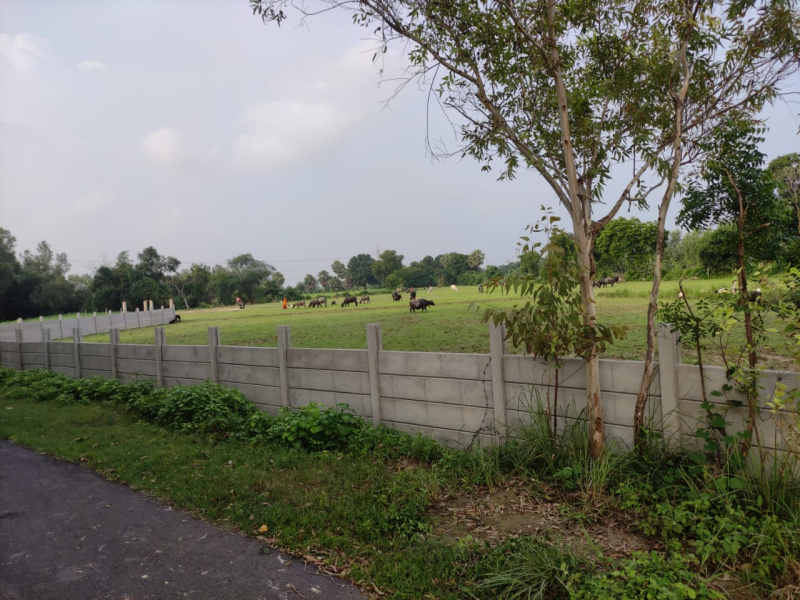  Residential Plot 600 Sq.ft. for Sale in Sohramau, Unnao