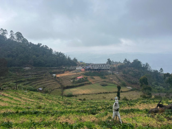  Agricultural Land for Sale in Mannavanur, Kodaikanal