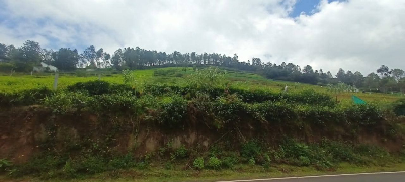  Residential Plot 54 Cent for Sale in Kotagiri, Nilgiris