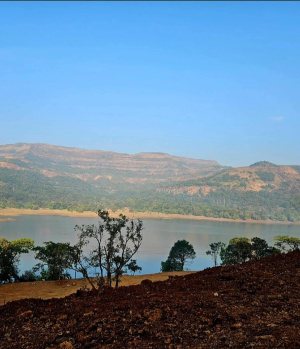  Agricultural Land for Sale in Igatpuri, Nashik