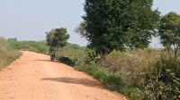  Agricultural Land for Sale in Maddur, Bangalore