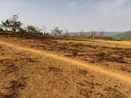  Agricultural Land for Sale in Alibag, Raigad