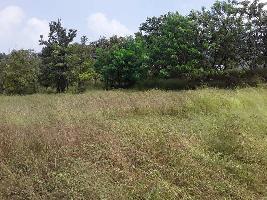  Agricultural Land for Sale in Mahad, Raigad
